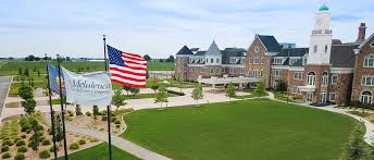 Image result for Melaleuca