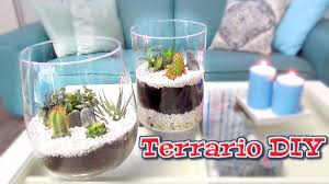 Terrario de suculentas baby (paso a paso). Cactus Y Suculentas Consejos De Jardineria Plantas