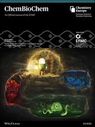ChemBioChem: Vol 24, No 24
