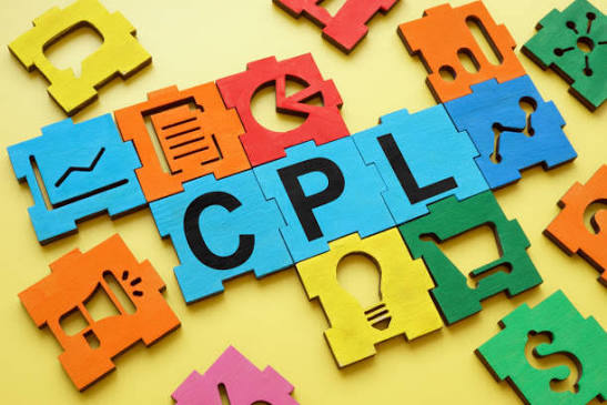 PPC ad spend optimization case study for an ecommerce brand