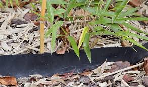 Pour cela, plusieurs types de décorations peuvent être utilisées. Barriere Anti Rhizome Quand Et Pourquoi En Prendre Une