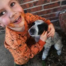 Whoever's child this is- keep up the great job parenting as you are raising  an amazing child!!