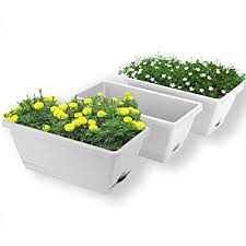 Check spelling or type a new query. Buy Upmct 3 Packs Window Boxes Planters 14 Inches Rectangular Vegetable Plastic Planters With Trays Indoor And Outdoor Flower Boxes For Windowsill Patio Garden Porch Grey 3 Online In Turkey B08rdt1m7z