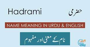 Afaik qiyas means (roughly) analogy. Notable Meaning In Urdu