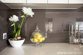 Some exciting additions to the breeder toolkit include prepaid registration and litter coupons. 13 Splashbacks Ideas Kitchen Splashback Splashback Kitchen Design