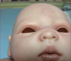 Genetic polymorphisms in the saudi oasis population,&quot; Premiere Reborning Doll Kits Sculpting Supplies Reborn Blog