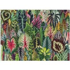 Reviewed in australia on 3 october 2020. Galison Houseplant Jungle 1000pc Jigsaw Puzzle Best Range Of Puzzles Adults
