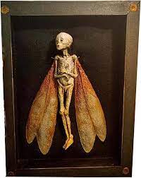 lefeindgdi Dead Fairy Shadow Box Display Picture Frame, Handmade Mummified  Fairy Corpse,Creative Beautiful and Sad Resin Crafts Horror Halloween  Ornament, Display for Home : Amazon.se: Home & Kitchen