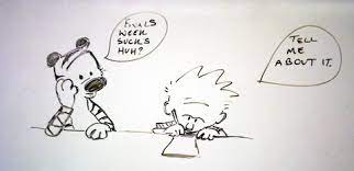 The new cartoon drawings are excellent to gear up your kid's room decoration. Whiteboard Funny Quotes Quotesgram