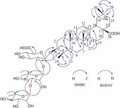 Image result for Olax obtusifolia