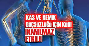 saracoglu ndan kas ve kemik gucsuzlugu icin bitkisel kur kas saglik kemik
