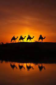 This hd wallpaper is about two camels at sunset, giza, egypt, africa, original wallpaper dimensions is 2560x1440px, file size is 208.05kb. Desert Sunset Wallpaper Portrait Camel
