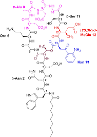 Image result for Daptomycin