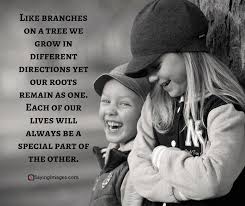 149 funny quotes on brother and sister relationship. Brother And Sister Love Quotes Master Trick