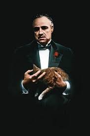Quand Je M Ennuie J Envoie Un Sms A Un Numero Inconnu Et J Ecris C Est Bon J Ai Cache Le Co Fond D Ecran Pour Homme Portraits Celebres Affiche Le Parrain