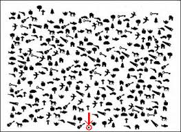 In a research study by pascal molenberghs and martin sale, subjects were required to. Bells Test Strokengine