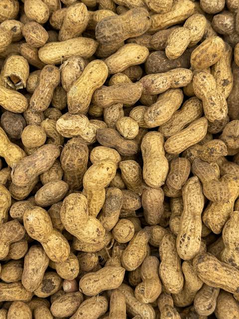 Peanut