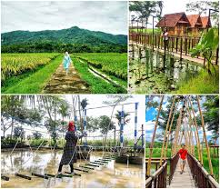 Selain dikenal sebagai kota pelajar dan juga destinasi wisata, anda juga bisa menemukan segudang kuliner menarik di kota ini. 61 Tempat Wisata Di Jogja Paling Hits Dan Belum Banyak Diketahui Orang