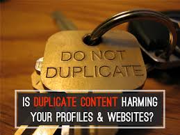 Image result for duplicate blog