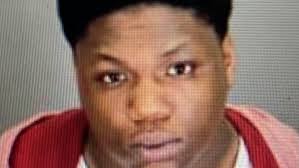 Dearborn Heights man charged with shooting stepbrother to death