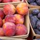 West Stockbridge Farmers Market