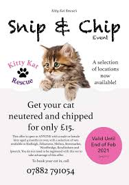It takes about 30 minutes to kick in. Kitty Kat Rescue Home Facebook