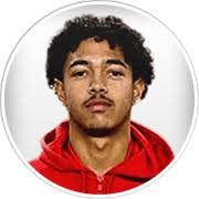 Dijon (France) Updated Squads for FM 2024