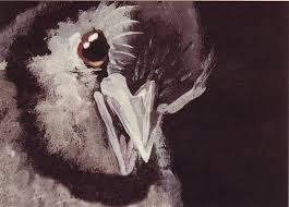 Review Guide To Troubled Birds
