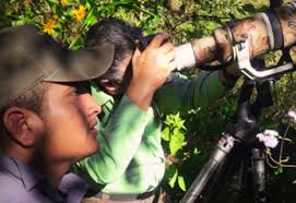 Guatemala Birding Adventures