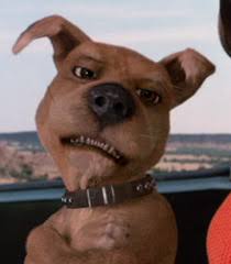 نتیجه جستجوی لغت [scrappy] در گوگل