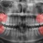 Tandarts Dental Surgery from www.altimadental.com