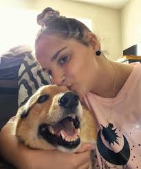 Tato disapproves of the fact that corgis can't get their license. He's  decided to take matters into his own paws and drive in secret