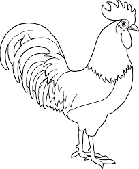 Any Rooster Coloring Page Wecoloringpage Com Rooster Painting Chicken Coloring Pages Rooster