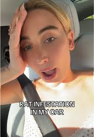 Rat Infestation: How to Deal with Rodents in Your Car