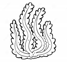 Seaweed Coloring Pages For Kids 2019 Educative Printable Coloring Pages Coloring Pages For Kids Ocean Coloring Pages
