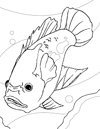 fish coloring pages ile ilgili görsel sonucu