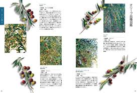 決定版 育てて楽しむ オリーブの本 ガーデンダイアリー 編集 制作 出版の八月社