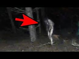 The loch ness monster caught on camera. Top 10 Terrifying And Scary Real Ghost Caught On Camera Youtube Real Ghosts Ghost Caught On Camera Weird Creatures