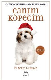 D R Kultur Sanat Ve Eglence Dunyasi Canim Kopegim Goruntuler Ile Mizah Kopek Edebiyat