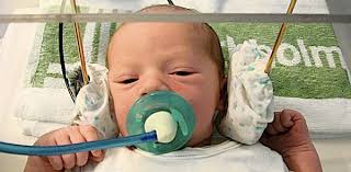 Science Question from a Toddler: Life before birth