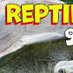 Lincoln NE Show Me Reptiles Show
