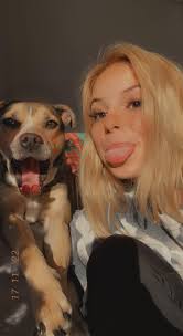 Is this dog lost near 2300 block of west 24th street in Granite City, IL?