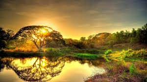 4k Wallpaper For Pc Nature Nature wallpapers for 4k, 1080p hd and 720p hd resolutions and are best suited for desktops, android phones, tablets, ps4 wallpapers. 4k wallpaper for pc nature