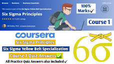 Six Sigma Principles | Coursera | Six Sigma Yellow Belt ...