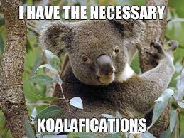 Great job meme great job quotes work quotes you rock quotes team quotes motivational memes inspirational quotes well meme rock meme. The Best Job Seeker Memes Of All Time Part 2