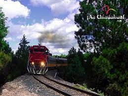 Pin On Tips Chihuahua