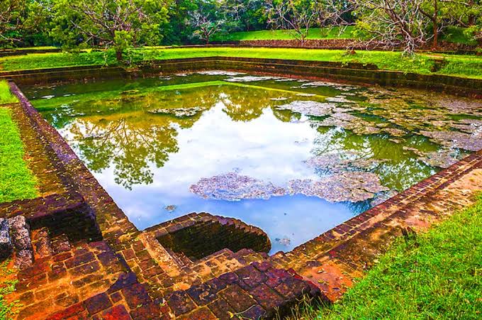 Water Gardens