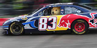 Dogecoin is a derivative of litecoin, which is a cryptocurrency inspired by bitcoin. Could Nascar Drive Dogecoin To The Moon The Daily Dot