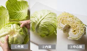 キャベツの外側の葉 外葉 は捨てないで 部位別の美味しい食べ方 三越伊勢丹の食メディア Foodie フーディー