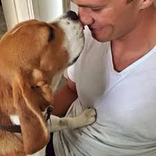 Tom Brady Tom Brady And Gisele Tom Brady Celebrity Dogs